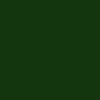 RR 11 Хвойно-зеленый